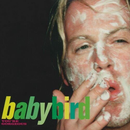 Webradio Steckbrief - Babybird