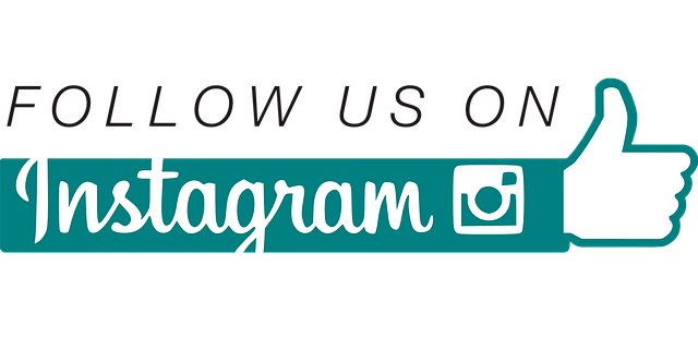Instagram Follower