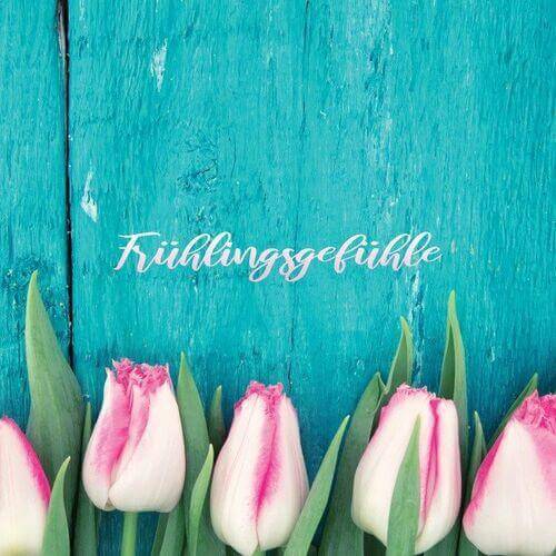 Hintergrund