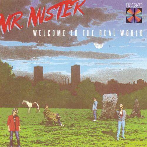 Webradio Steckbrief - Mr. Mister