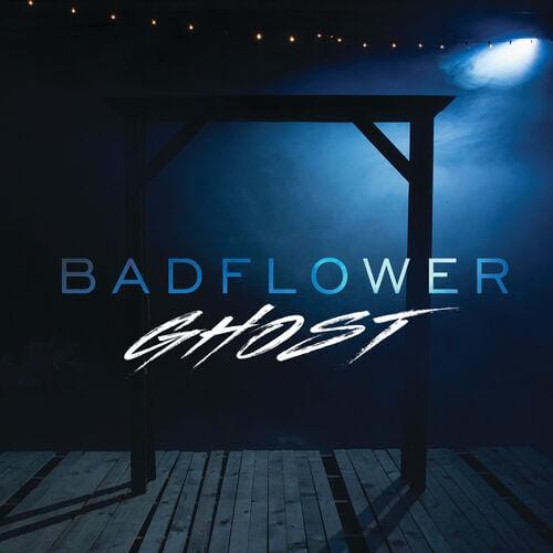Webradio Steckbrief - Badflower