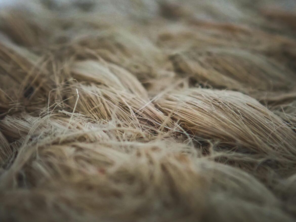 Natürliche Materialien und Bio-Alternativen: Die Zukunft der nachhaltigen Produkte