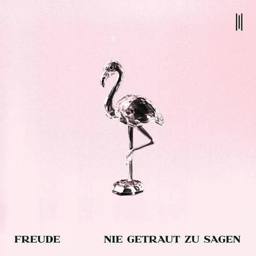 Nie getraut zu sagen