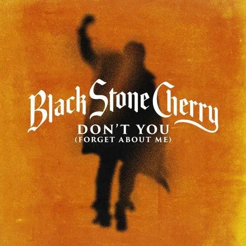 Don't You (Forget About Me)