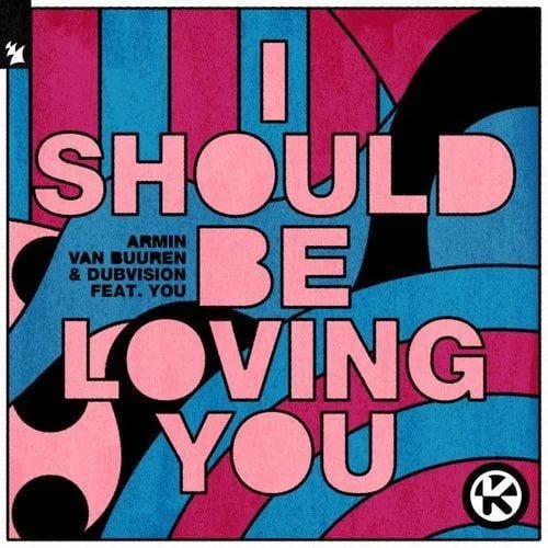 I Should Be Loving You
