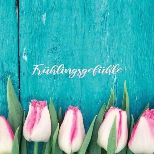 Du fehlst - Discofox Mix