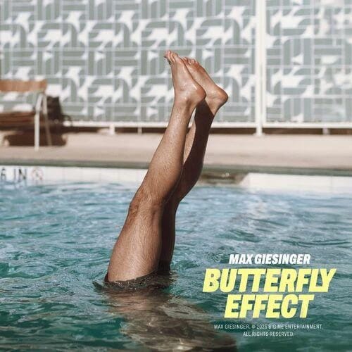 Butterfly Effect