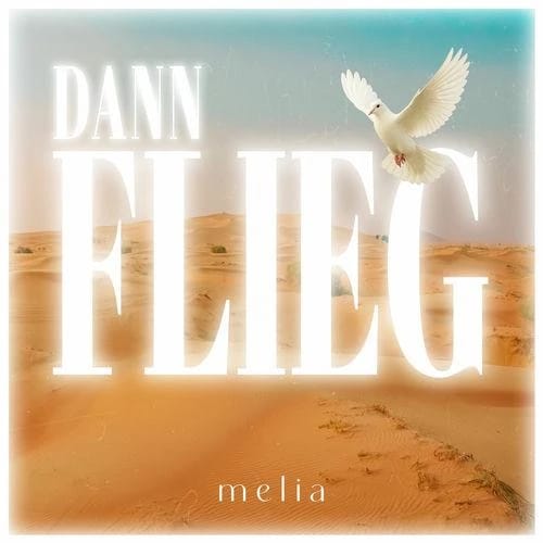 Dann flieg