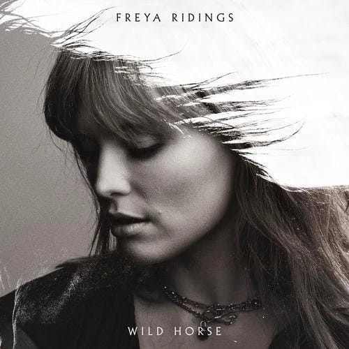 Wild Horse