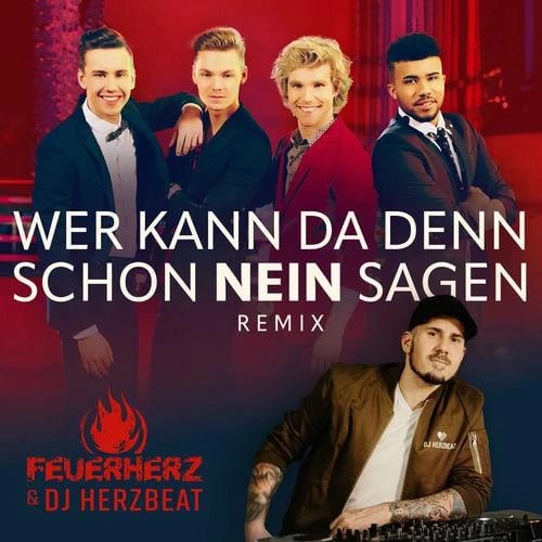 Wer kann da denn schon nein sagen? (Remix)