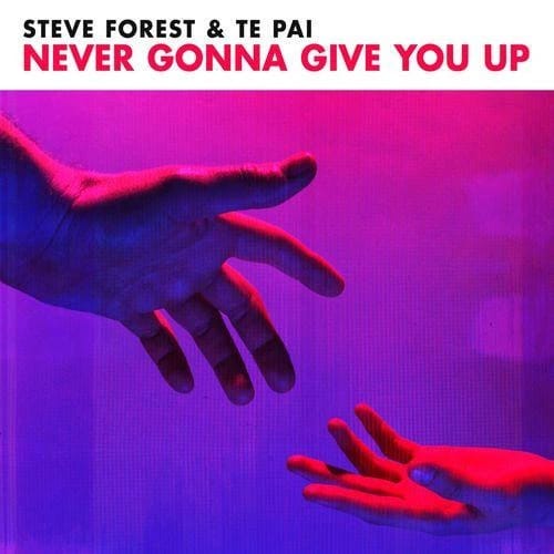 Never Gonna Give You Up