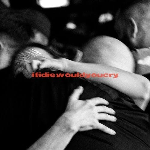 ifidiewouldyoucry