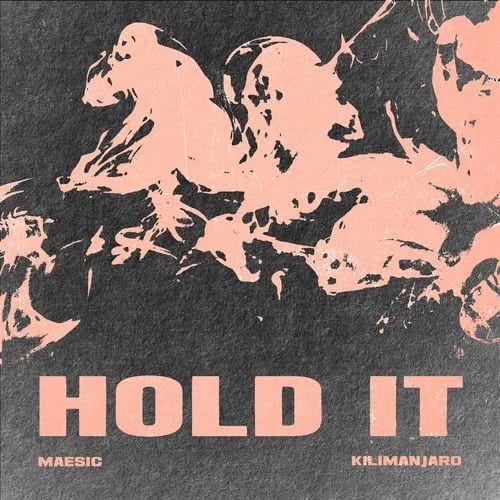Hold It