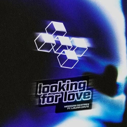 Looking For Love