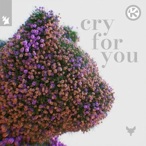 Cry for You