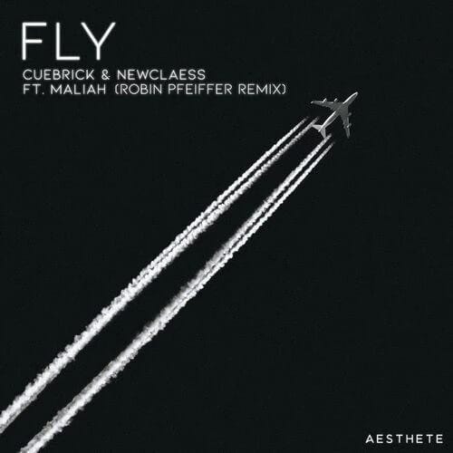 Fly