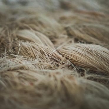 Natürliche Materialien und Bio-Alternativen: Die Zukunft der nachhaltigen Produkte