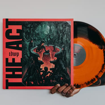 Vinyl & Sammlerausgaben als Kult-Nische