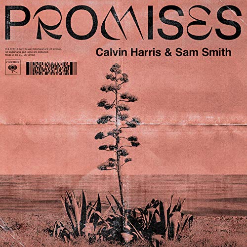 Calvin Harris & Sam Smith
Promises