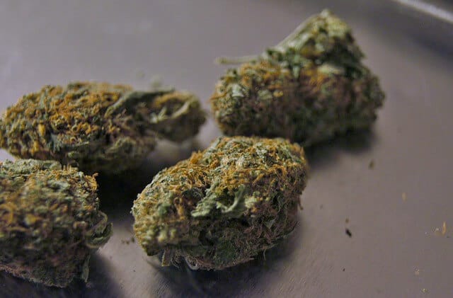 Cannabis