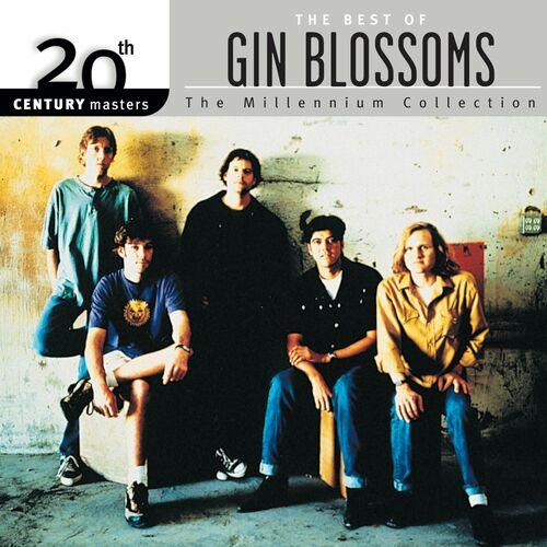 Webradio Steckbrief - Gin Blossoms