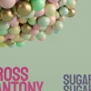 Sugar - Sugar