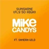 Sunshine (Fly So High) (2012 Radio Mix)