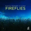 Fireflies