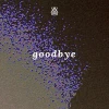 Goodbye